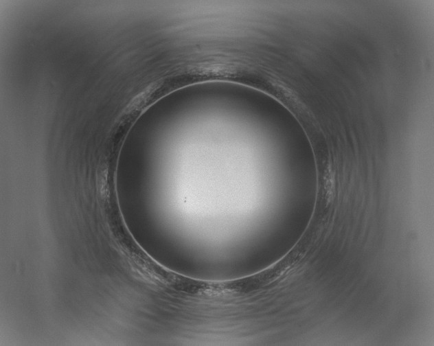 X0000054380403200508121612