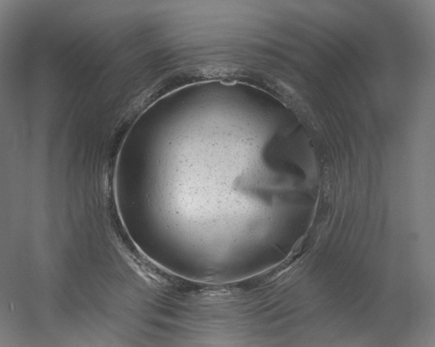 X0000054380405200508121612
