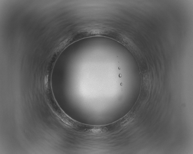 X0000054380406200508121612