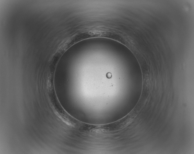 X0000054380408200508121612