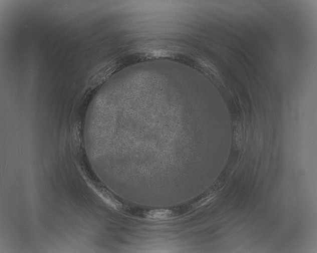 X0000054380410200508121612