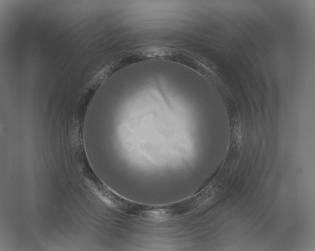 X0000054380411200508121612