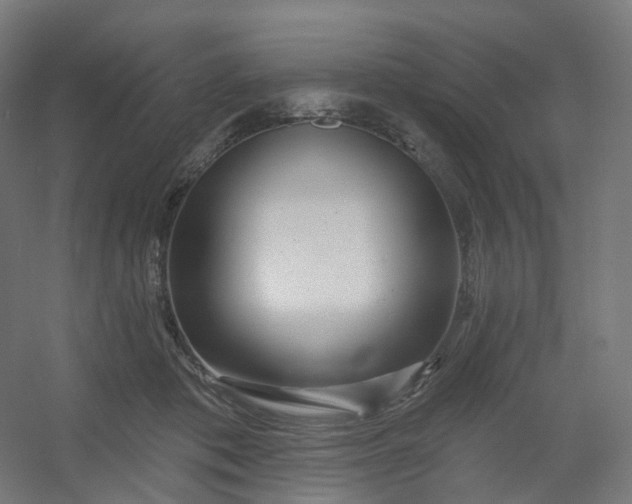 X0000054380413200508121611