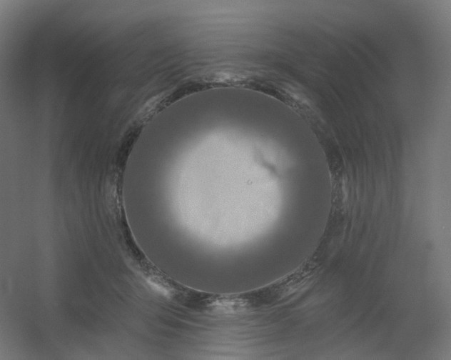 X0000054380415200508121611
