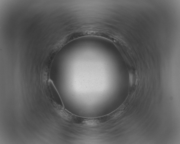 X0000054380417200508121611