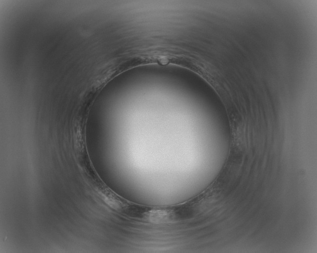 X0000054380418200508121611
