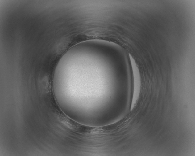 X0000054380420200508121611