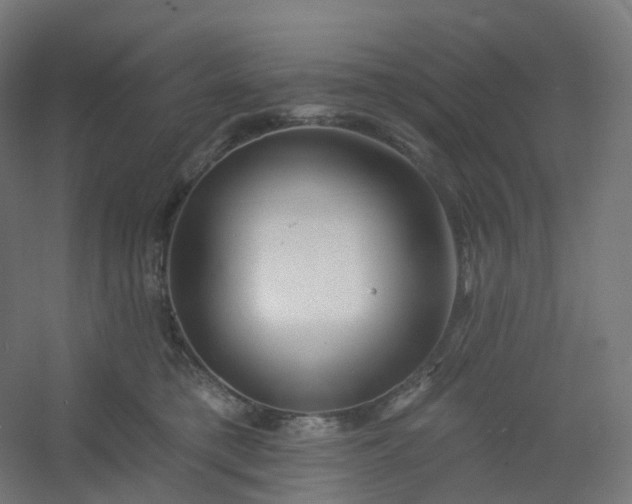 X0000054380421200508121611