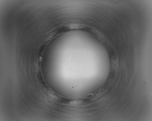 X0000054380422200508121611
