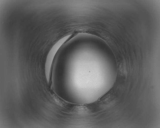 X0000054380424200508121611