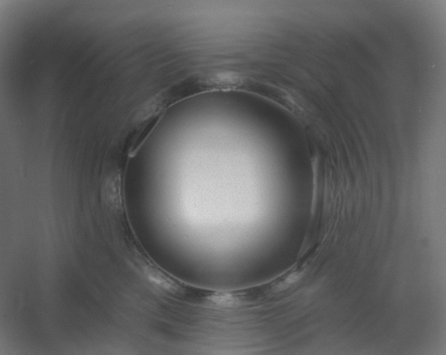 X0000054380425200508121611