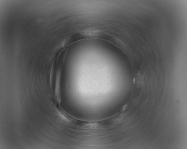 X0000054380428200508121611