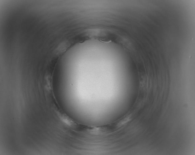X0000054380430200508121611