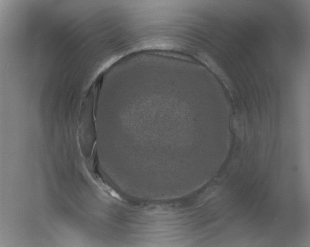 X0000054380434200508121610