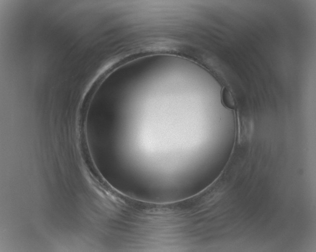 X0000054380435200508121610