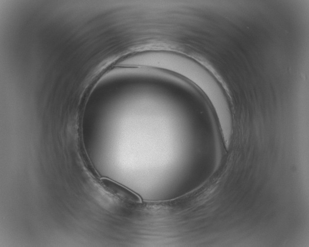 X0000054380437200508121610