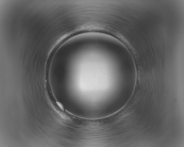 X0000054380438200508121610