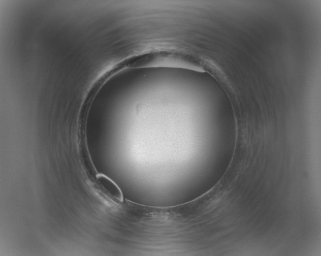 X0000054380439200508121610
