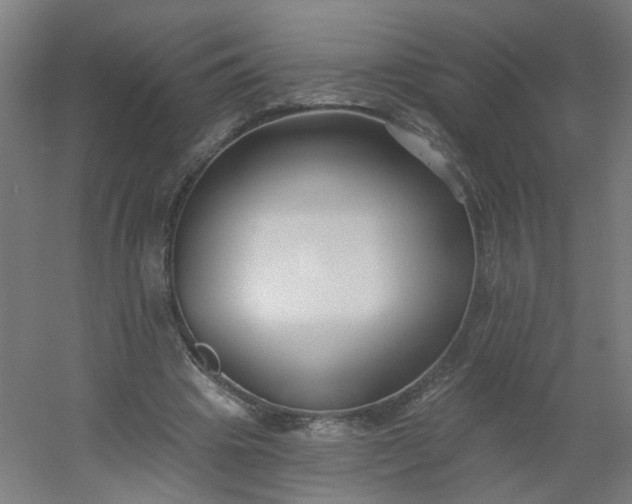 X0000054380441200508121610