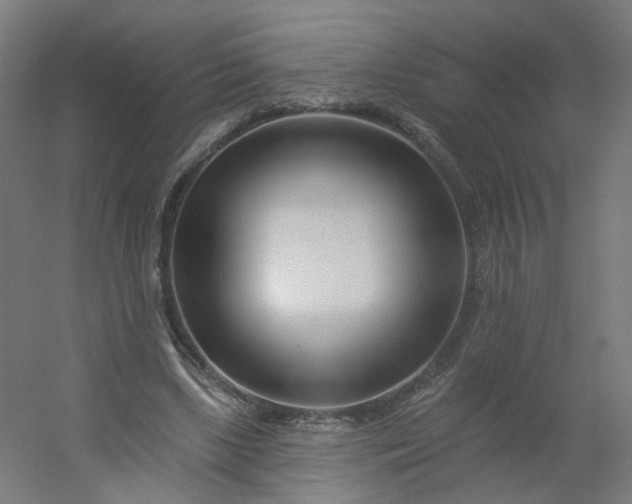 X0000054380443200508121611