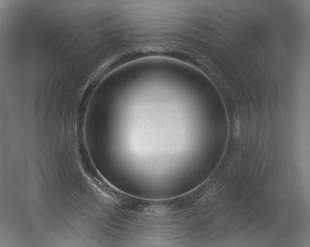 X0000054380444200508121611