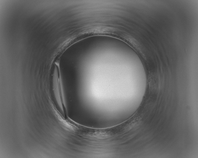 X0000054380445200508121611