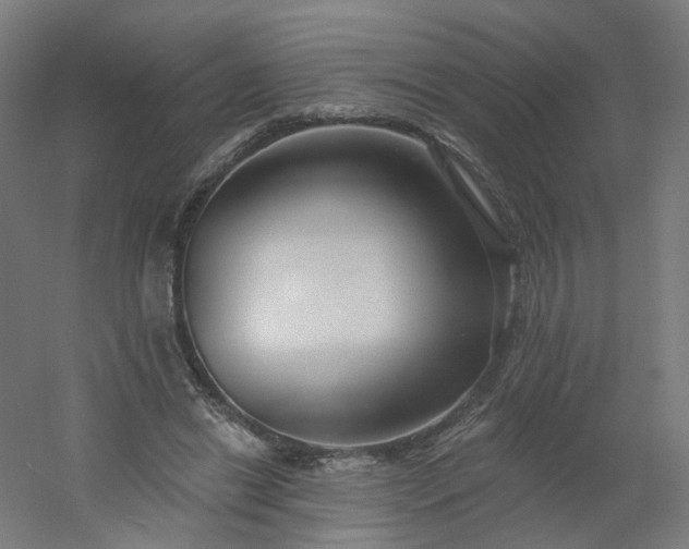 X0000054380446200508121611