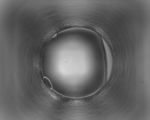 X0000054380449200508121611