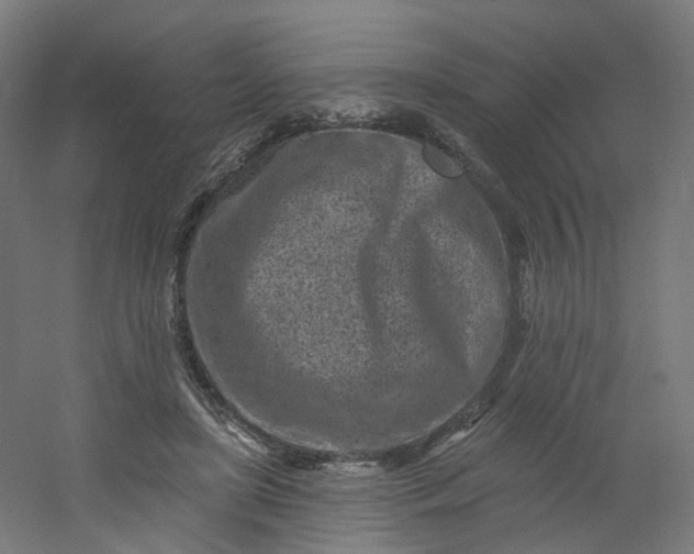X0000054380451200508121611