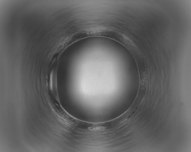X0000054380452200508121611