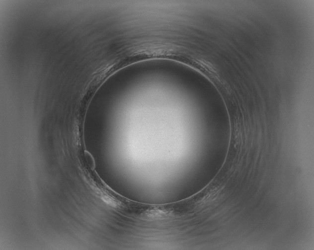 X0000054380453200508121611