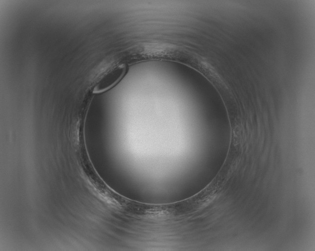 X0000054380454200508121611