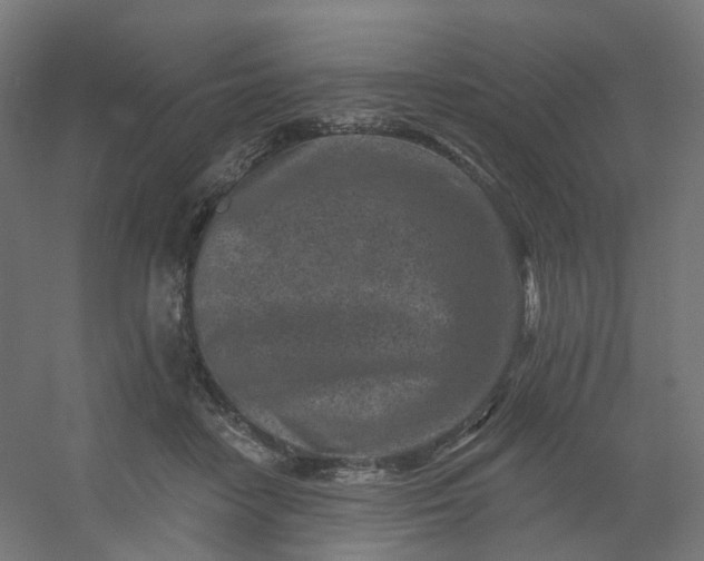 X0000054380458200508121611