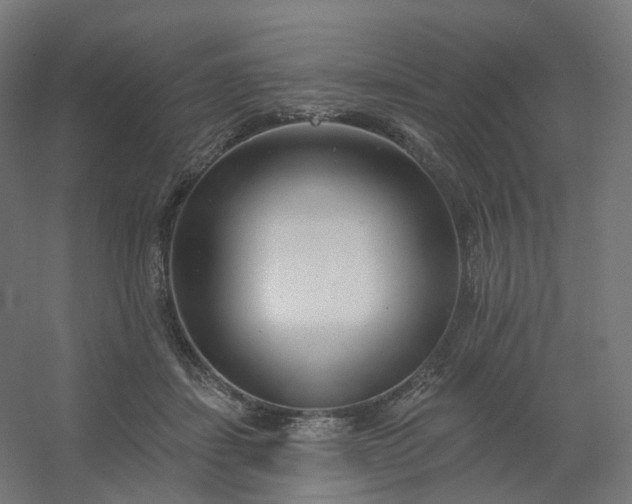 X0000054380459200508121611