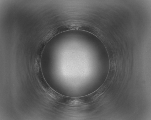 X0000054380460200508121611