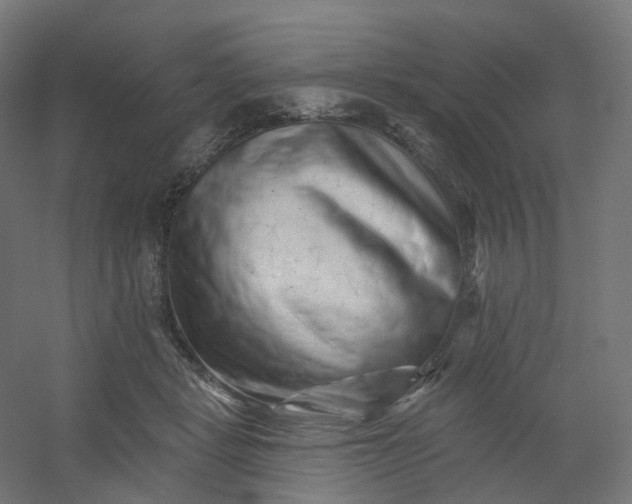 X0000054380461200508121611