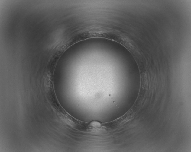 X0000054380463200508121611