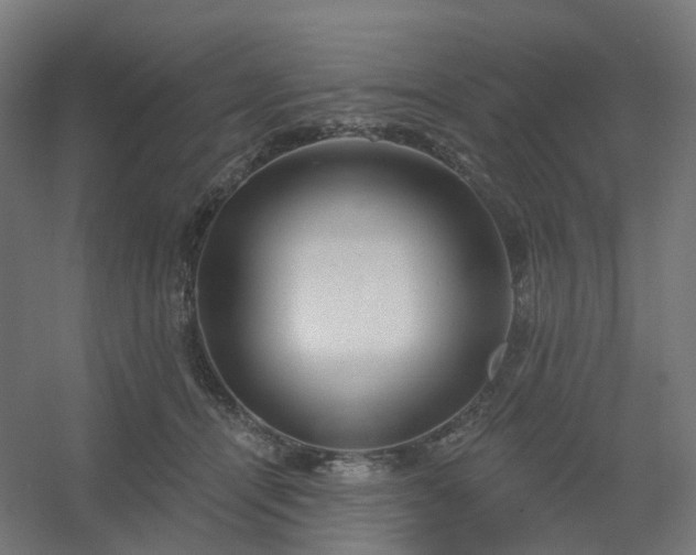 X0000054380464200508121611