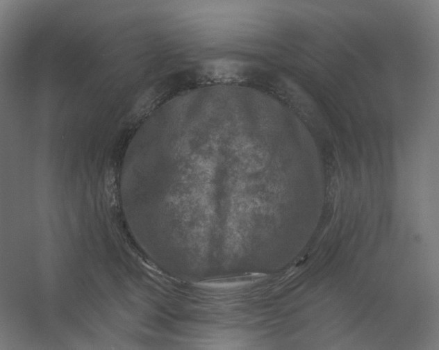 X0000054380465200508121611