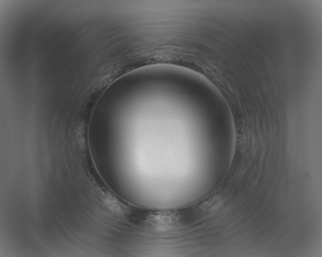 X0000054380466200508121611