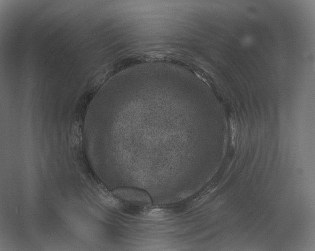 X0000054380467200508121611
