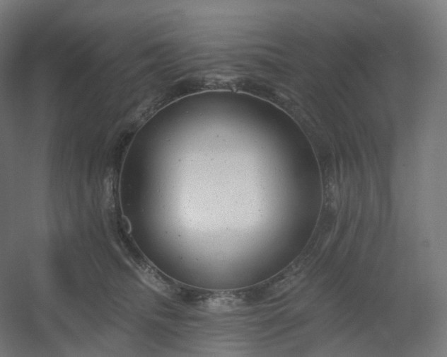X0000054380468200508121611