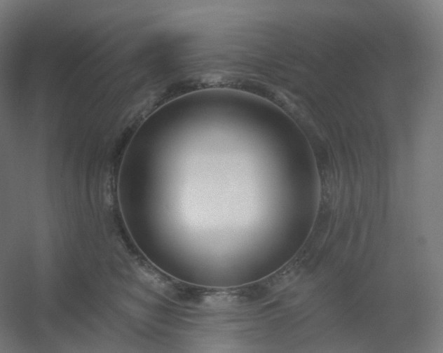 X0000054380470200508121611