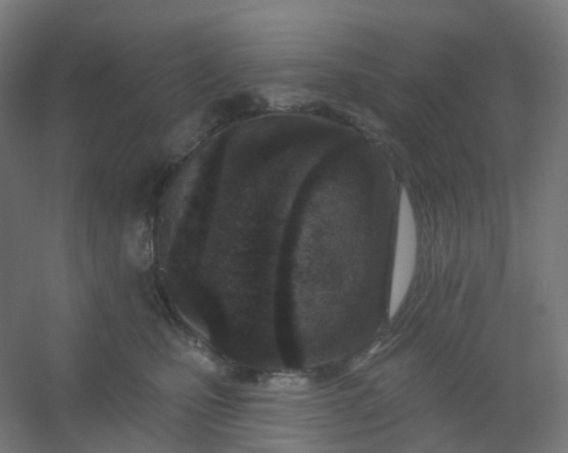X0000054380471200508121611