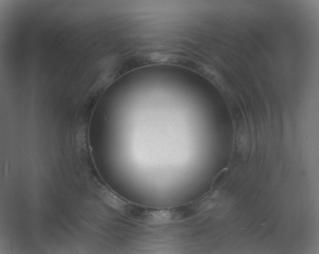 X0000054380473200508121611