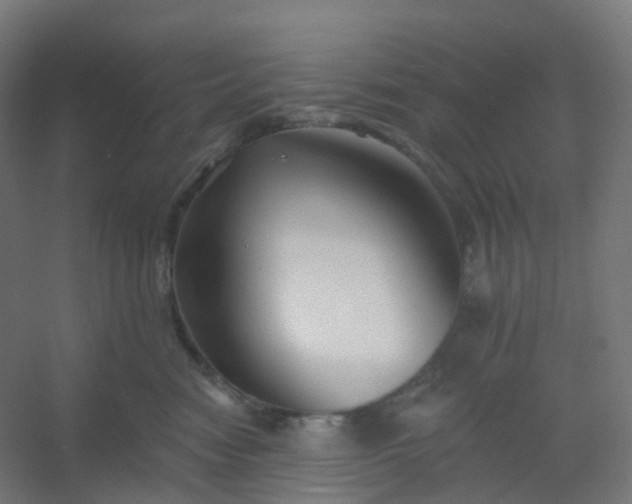 X0000054380474200508121611