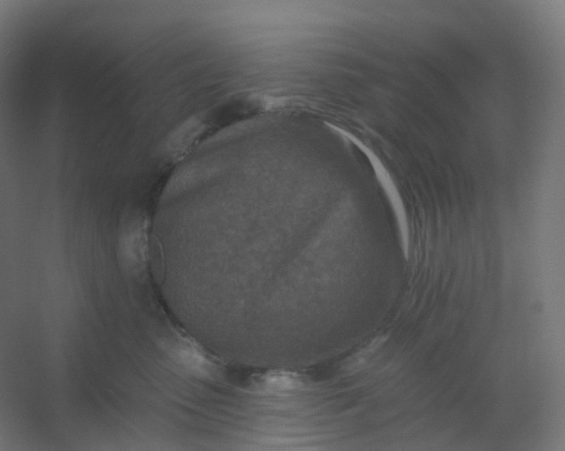 X0000054380475200508121611