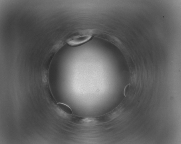 X0000054380477200508121611
