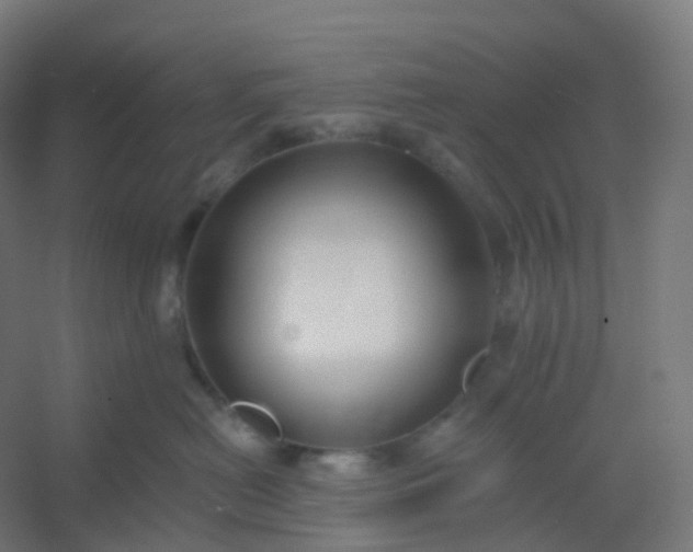 X0000054380478200508121611