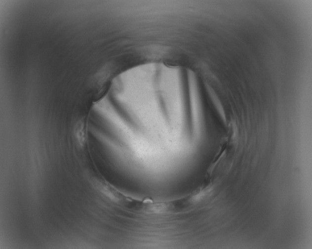 X0000054380479200508121611
